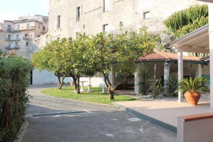 דירות סקליאה The Lemon Tree House מראה חיצוני תמונה