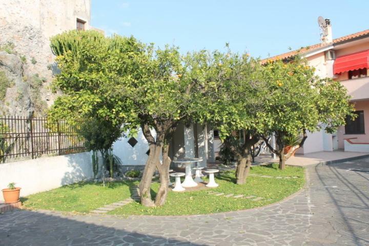 דירות סקליאה The Lemon Tree House מראה חיצוני תמונה