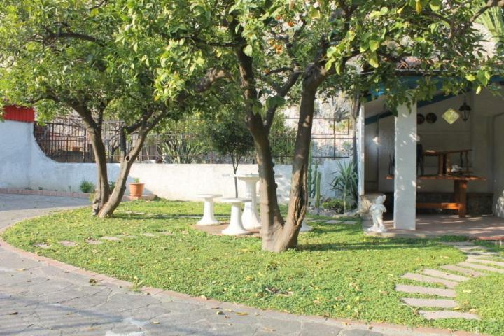 דירות סקליאה The Lemon Tree House מראה חיצוני תמונה